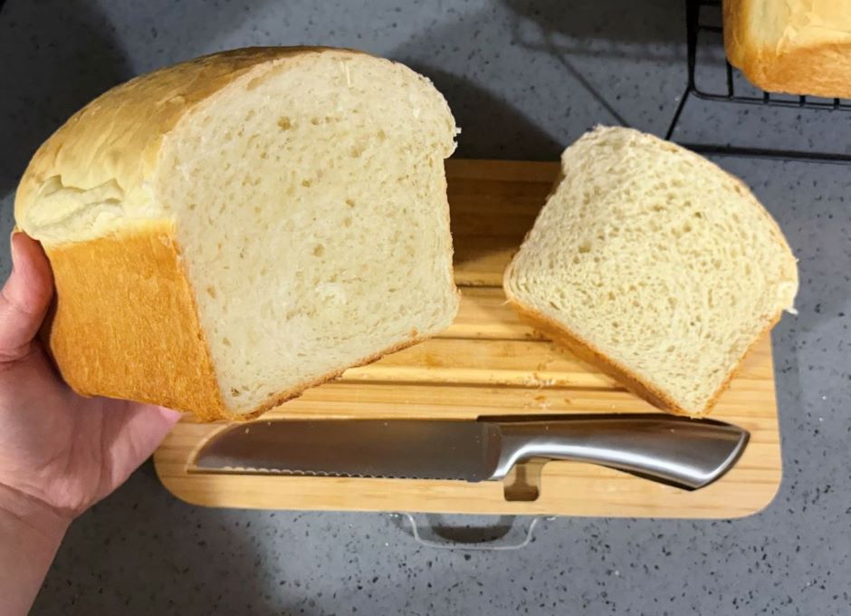 cross section of sandwich bread